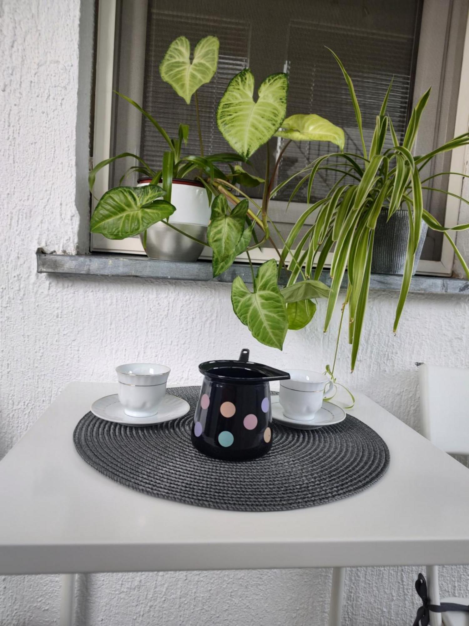 Twowheels Apartment - Apartment With Bicycles Novi Sad Exterior photo